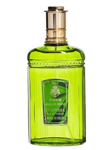 Mora Di Gelso