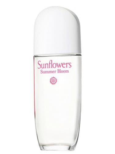 Sunflowers Summer Bloom