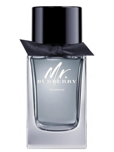 Mr. Burberry Indigo
