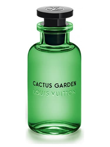 Cactus Garden