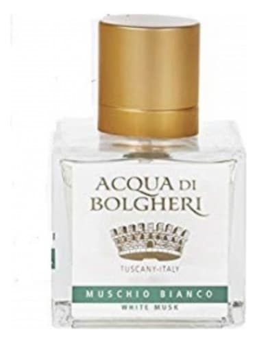 Muschio Bianco
