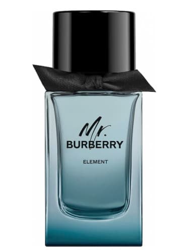 Mr. Burberry Element