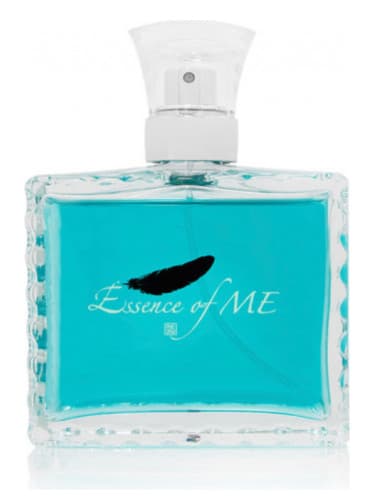 Essence of ME