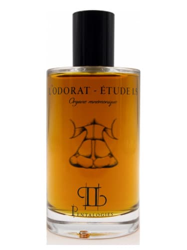 Etude 1.5: L’Odorat