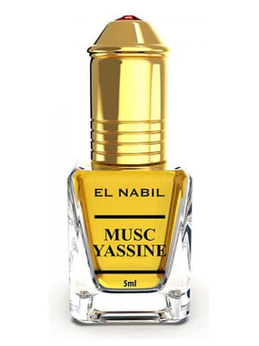 Musc Yassine
