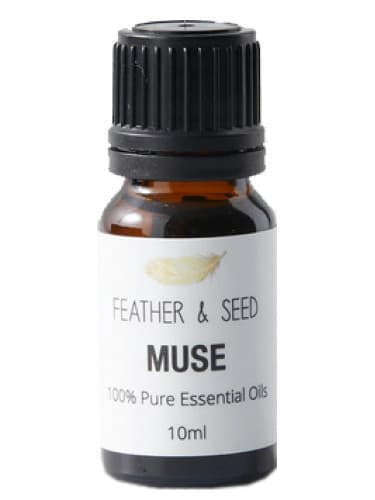 Muse