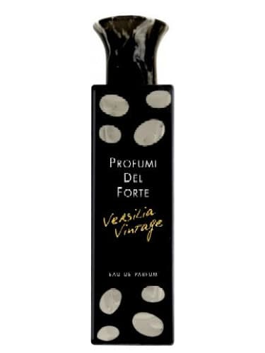 Versilia Vintage Boise