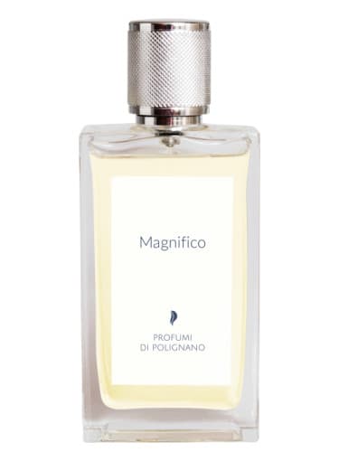 Magnifico