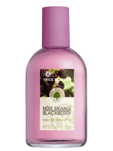 Mure Sauvage