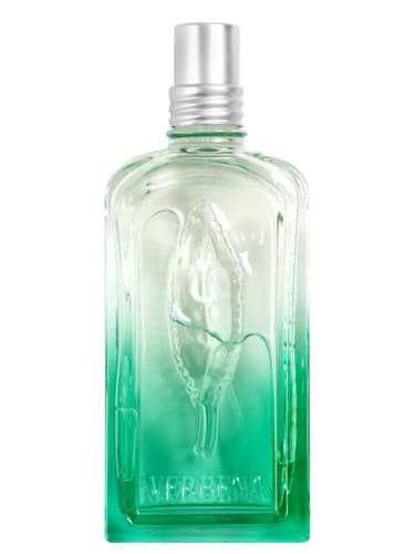 Verveine Fleur de Carotte