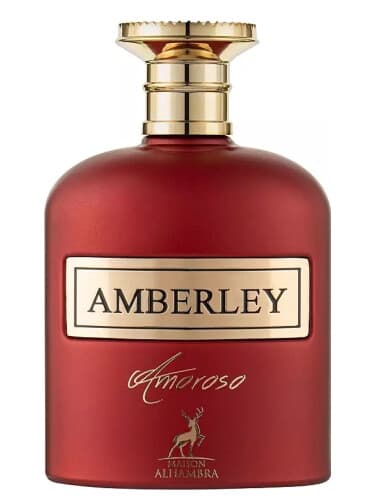 Amberly Amoroso
